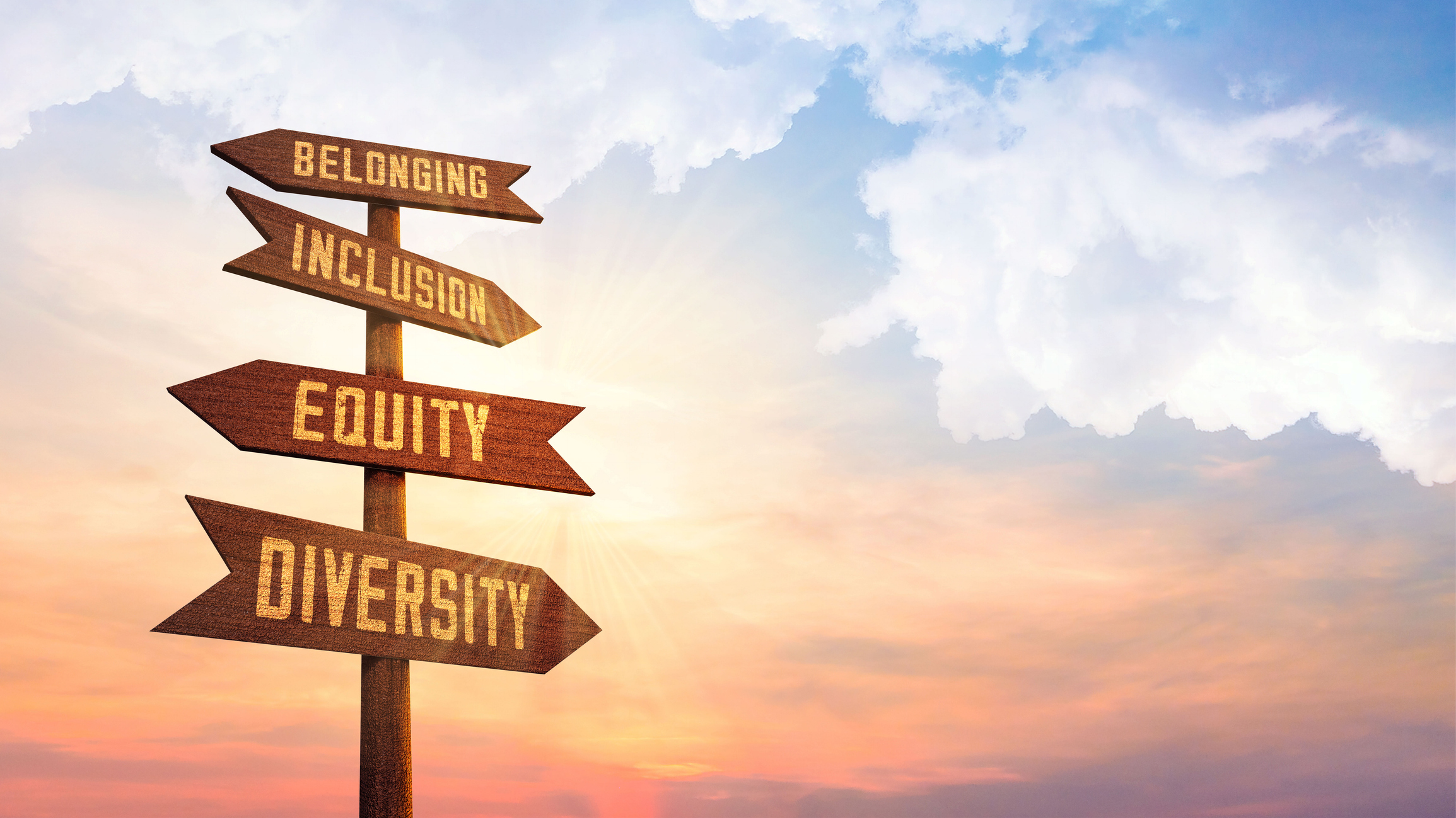 Concept of racial equality, anti-racism, diversity, stop racism, humanity, different wood textures, silhouette, diverse cultures, cultural diversity, wooden face shape, Cooperation, collaboration